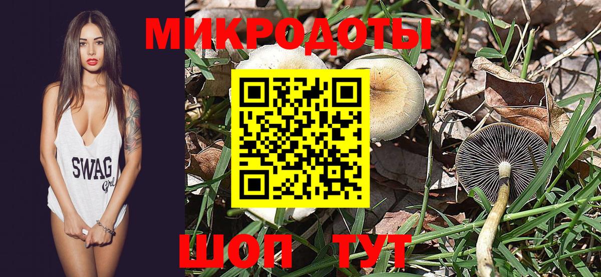 Галлюциногенные грибы ЛСД Кудрово